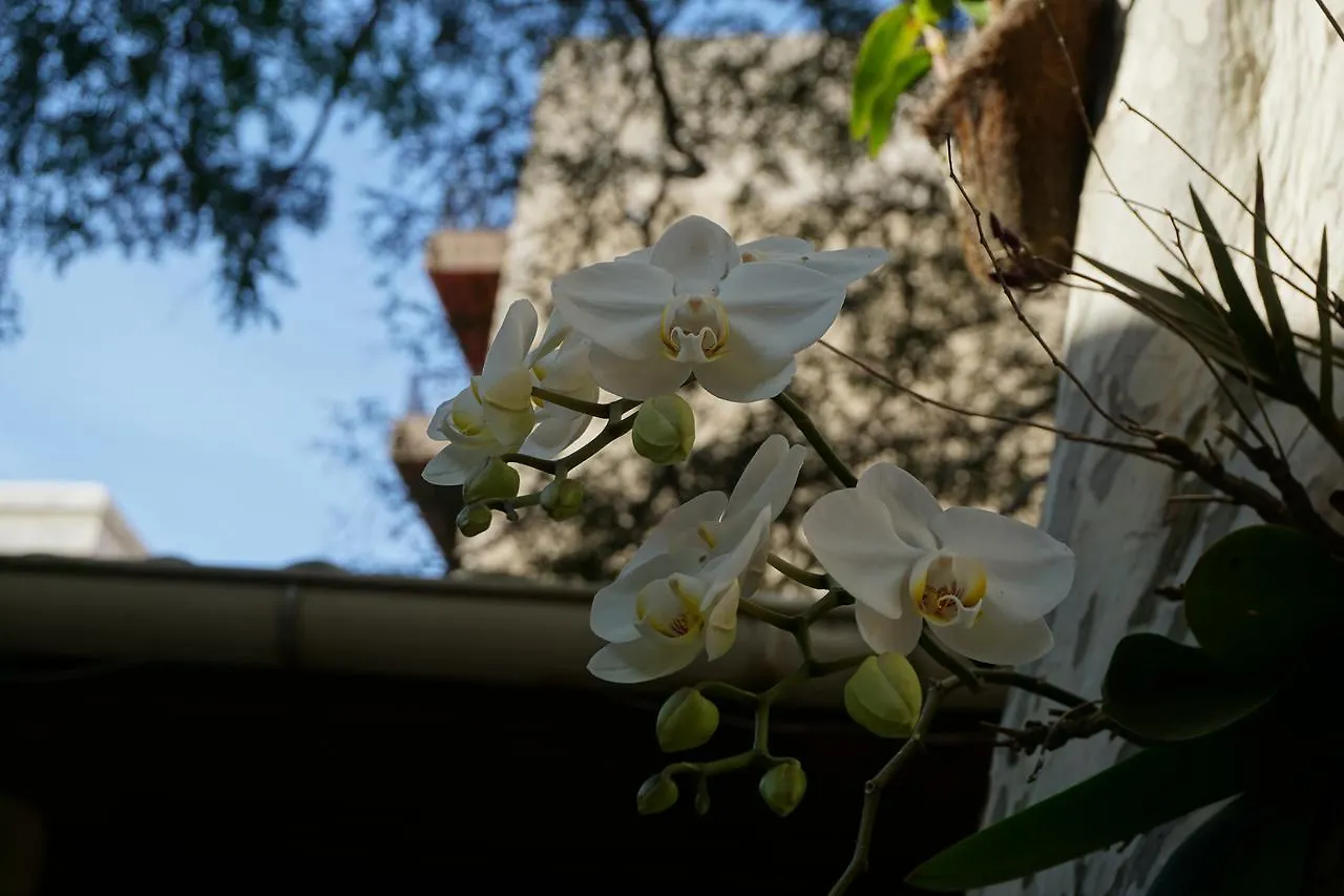 Pouso Da Garca Bed & Breakfast Cabo Frio 0*,  Brazil